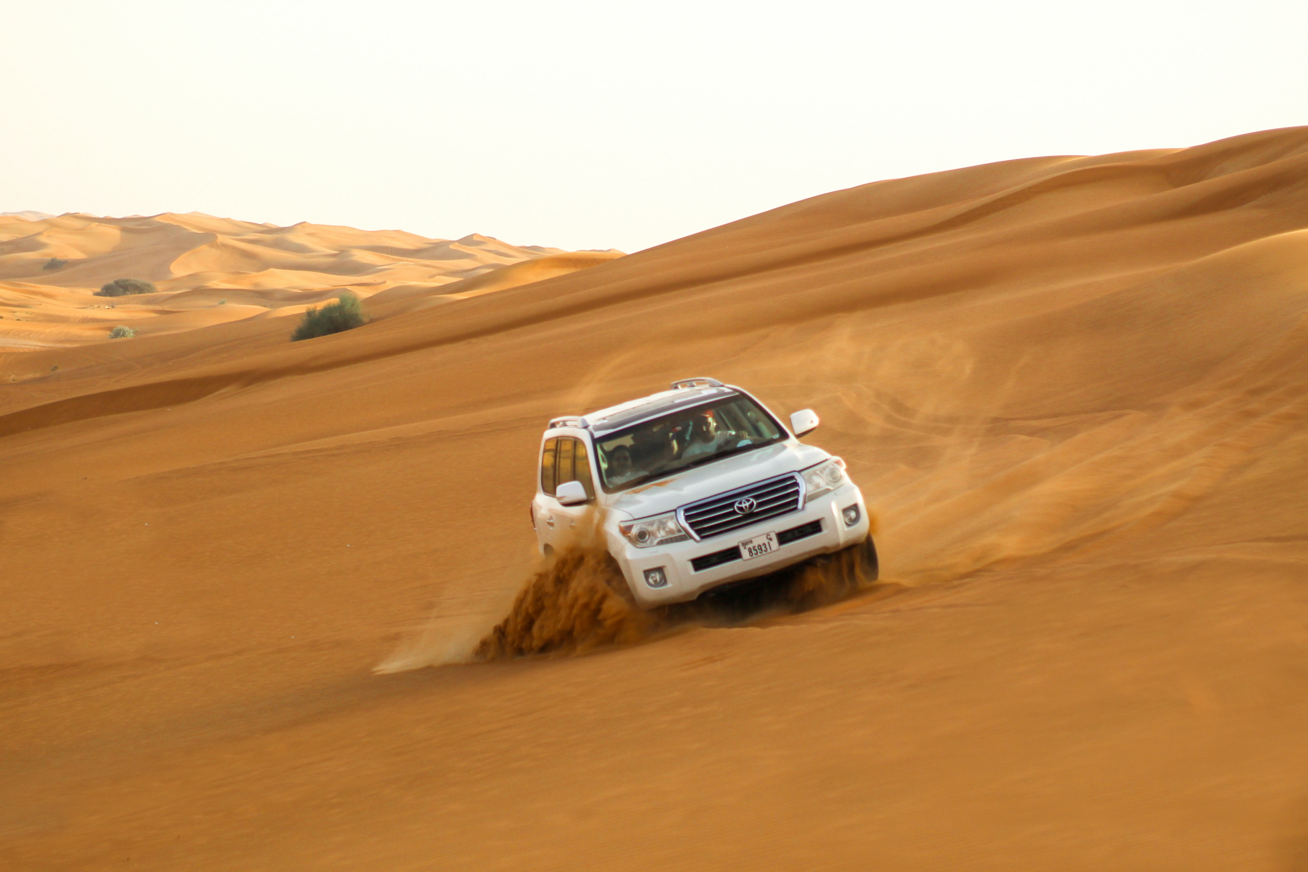 Dune Bashing