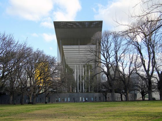 Melbourne Museum Living forest