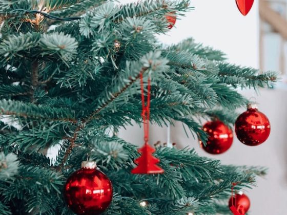 Christmas Decorations