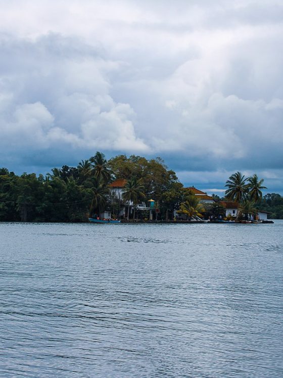 Madu_Ganga