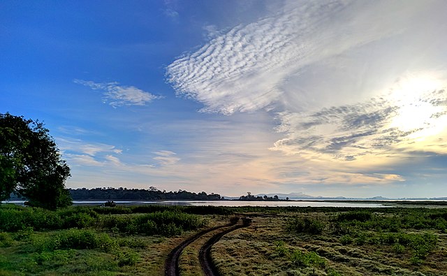 Minneriya National Park