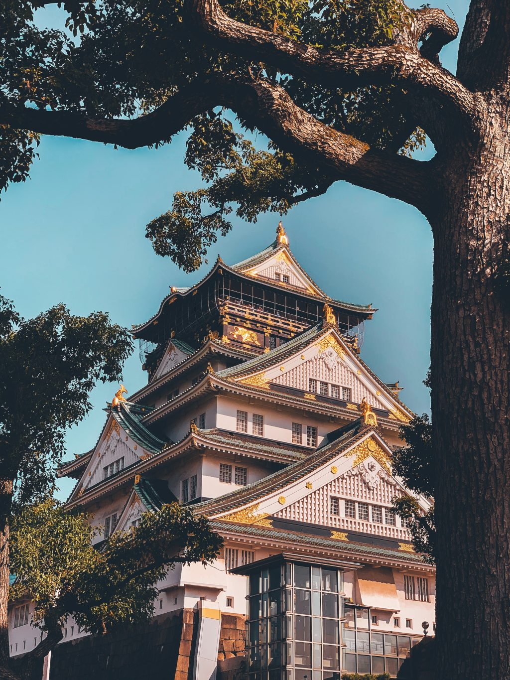 Château d'Osaka, Chuo-Ku, Osaka, Japon