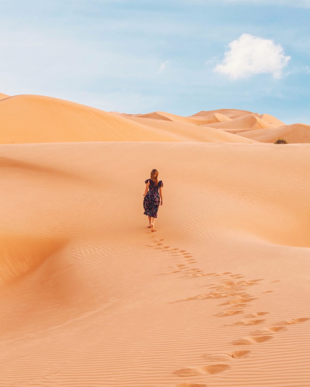 Sables de Wahiba