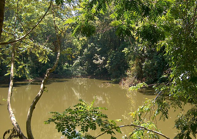Udawattakele Pond
