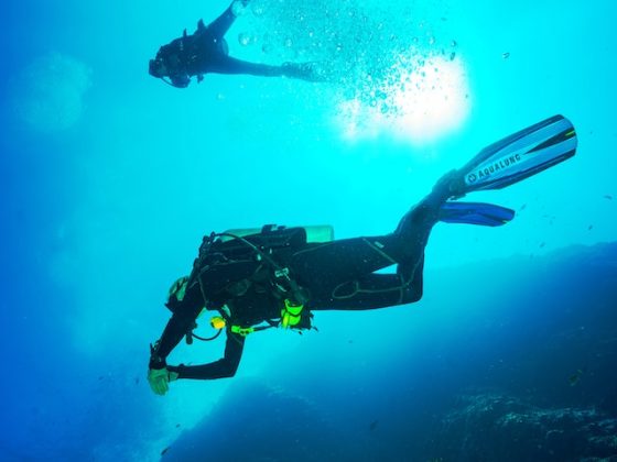 Diving in Maldives