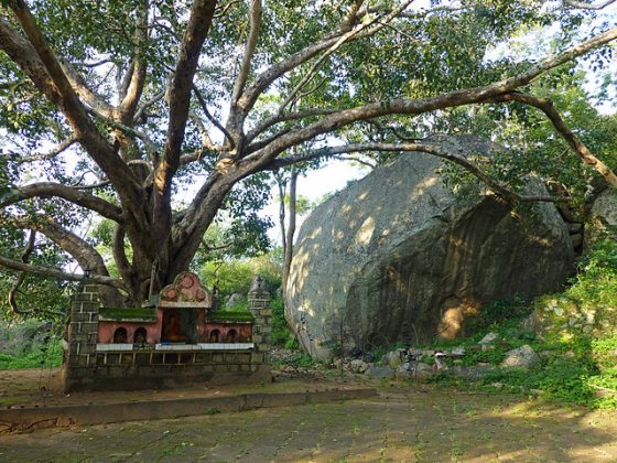 Pidurangala Temple