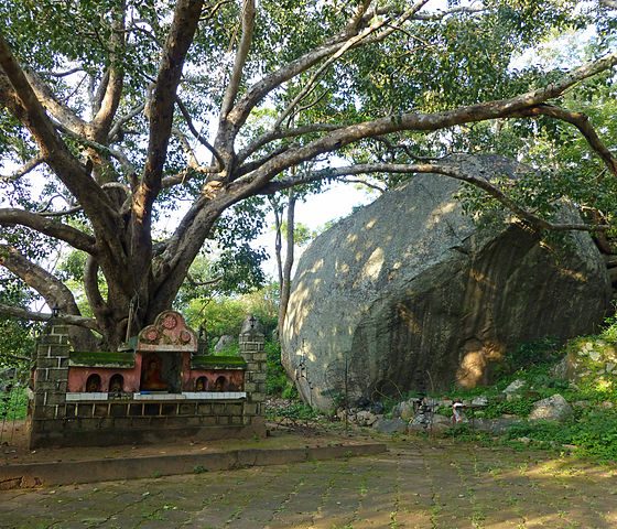 Pidurangala Temple