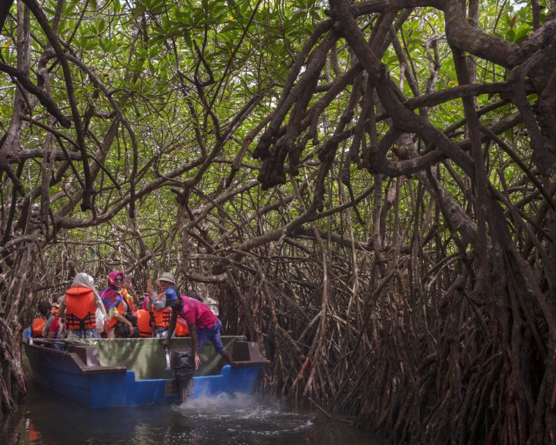 Safari sur la rivière Madu 