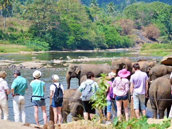 Tourism in Sri Lanka