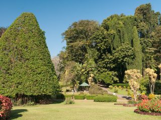Royal Botanical Gardens Peradeniya