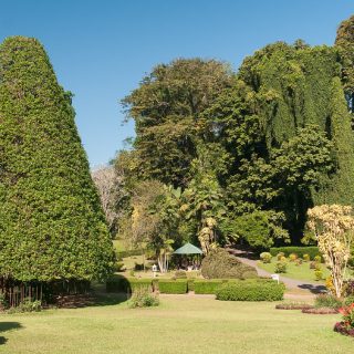 Royal Botanical Gardens Peradeniya