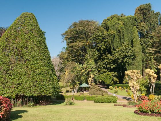 Royal Botanical Gardens Peradeniya