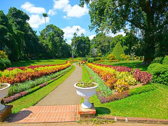 Peradeniya Royal Botanic Gardens