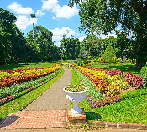 Peradeniya Royal Botanic Gardens