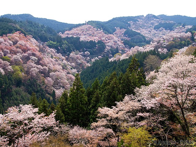 Yoshino Kumano National Park