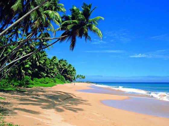 Sri Lanka Beaches