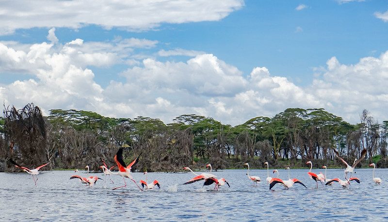 Lake Naivasha