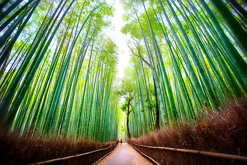 Arashiyama