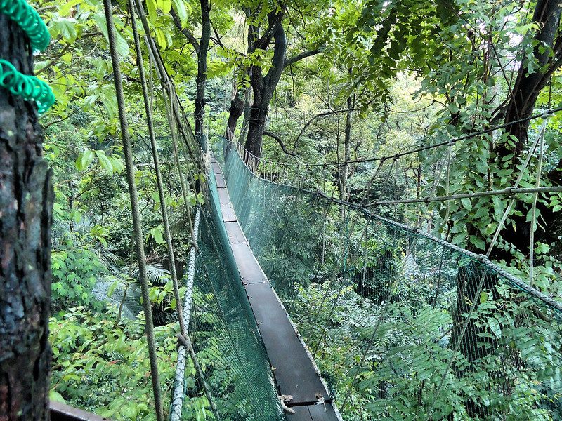 Forest Research Institute Malaysia