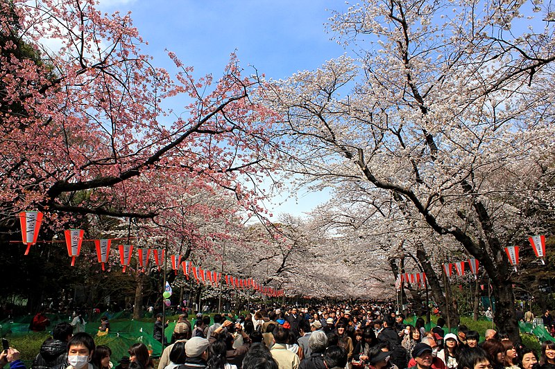 Hanami