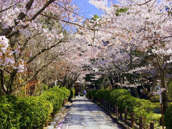 Maruyama Park