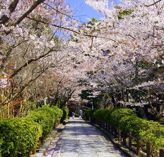 Maruyama Park