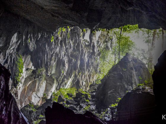 Mulu Caves