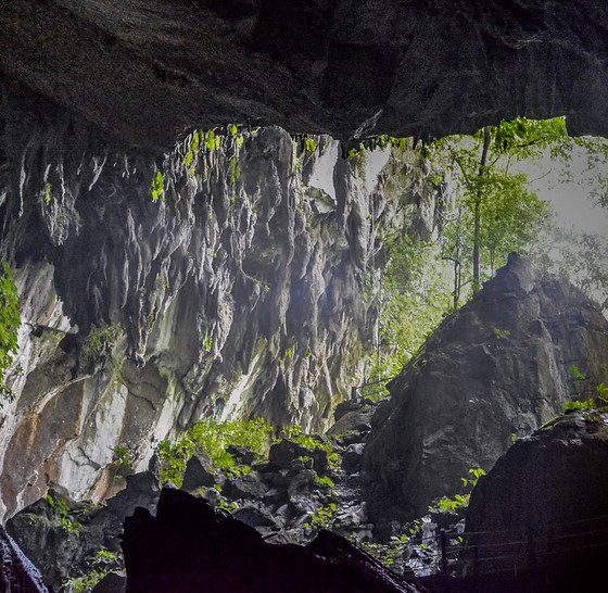 Mulu Caves