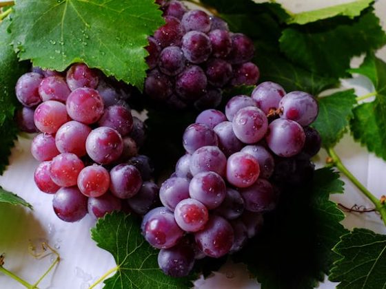 Grapes