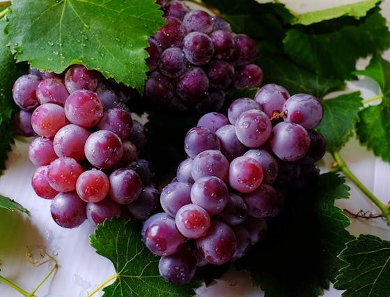 Grapes