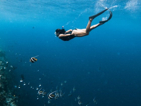 Maldives Snorkeling