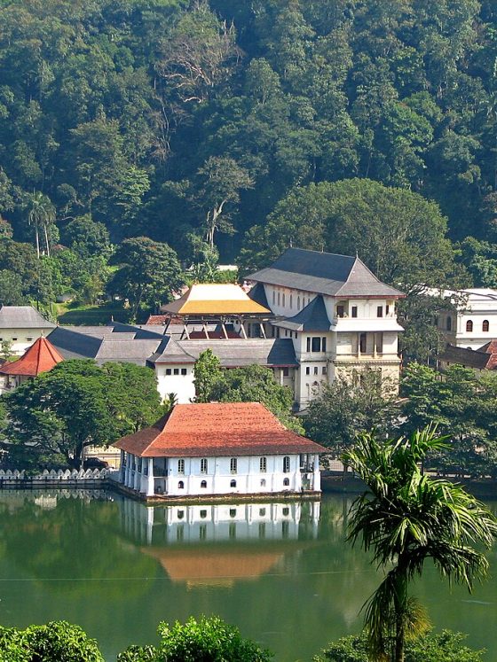 KAndy Temple