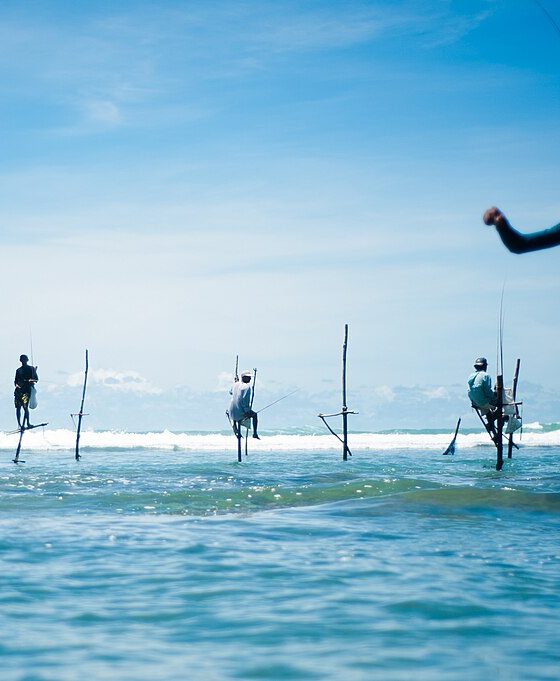 Stick fishermen of Sri Lanka.