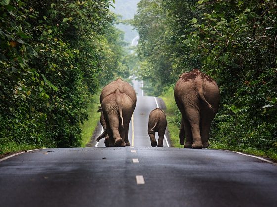 Khaoyai
