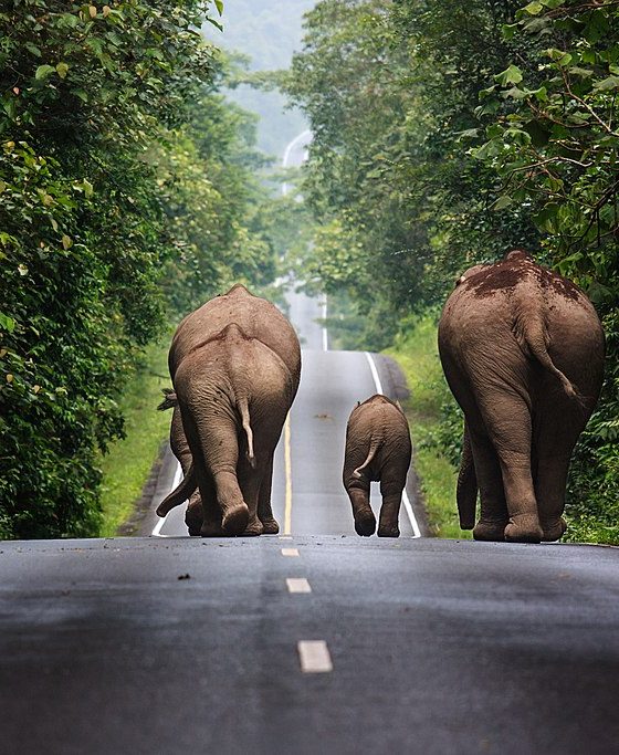 Khaoyai