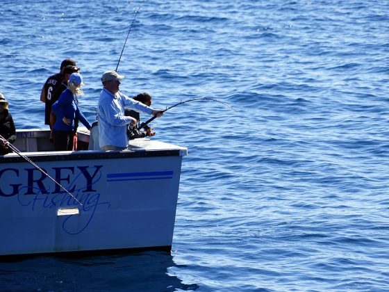 fishing
