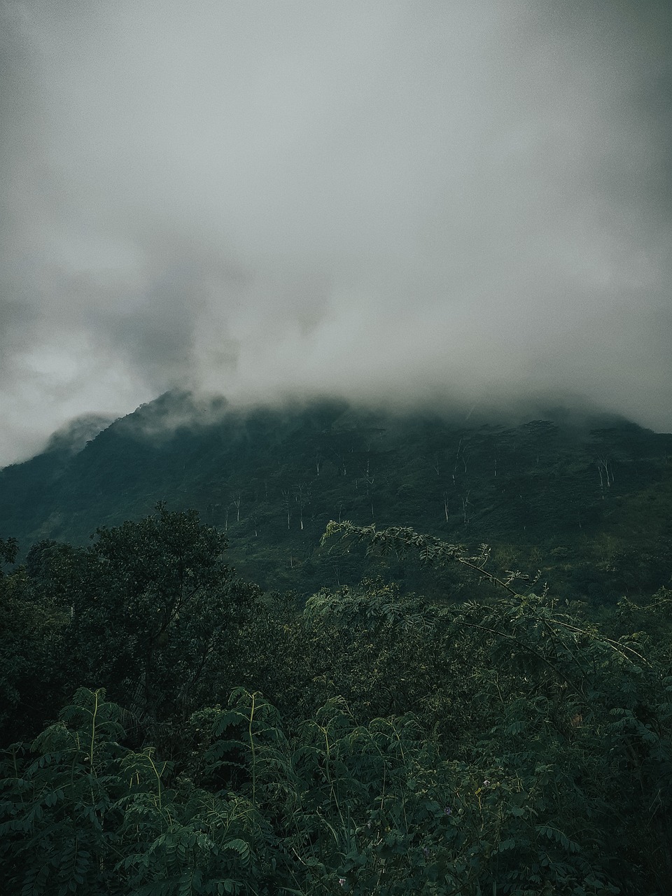 mountains