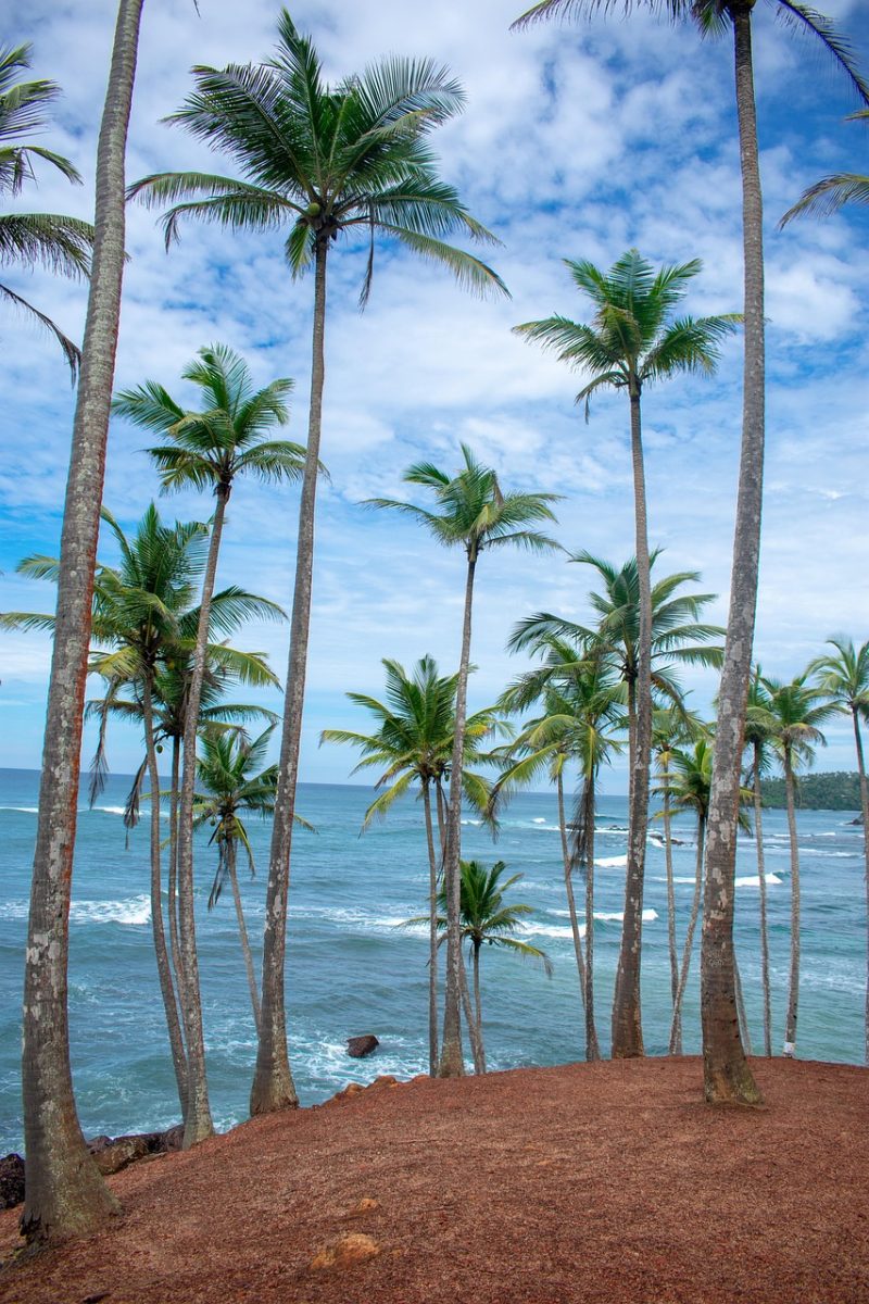 sri-lanka