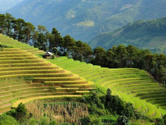 vietnam
