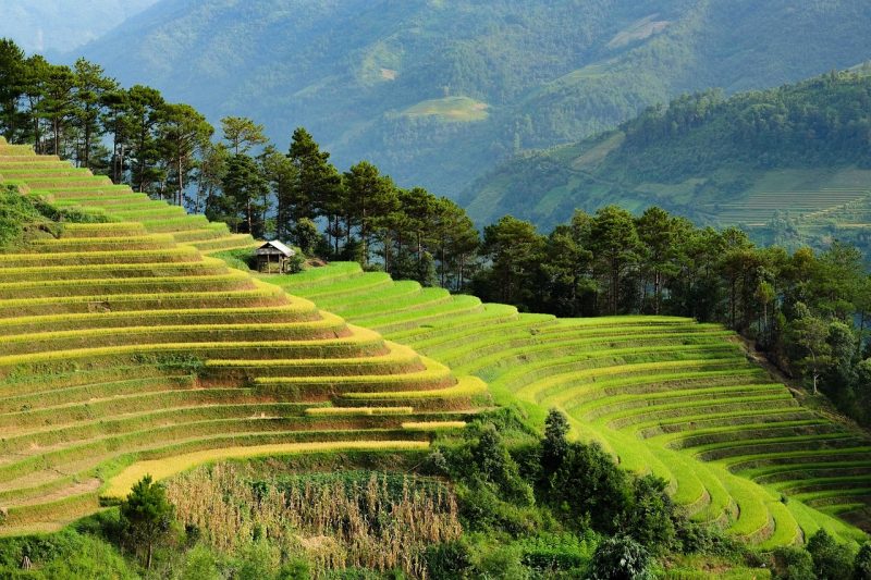 vietnam