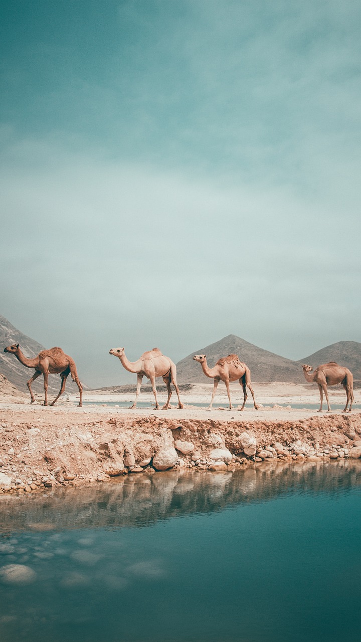 oman