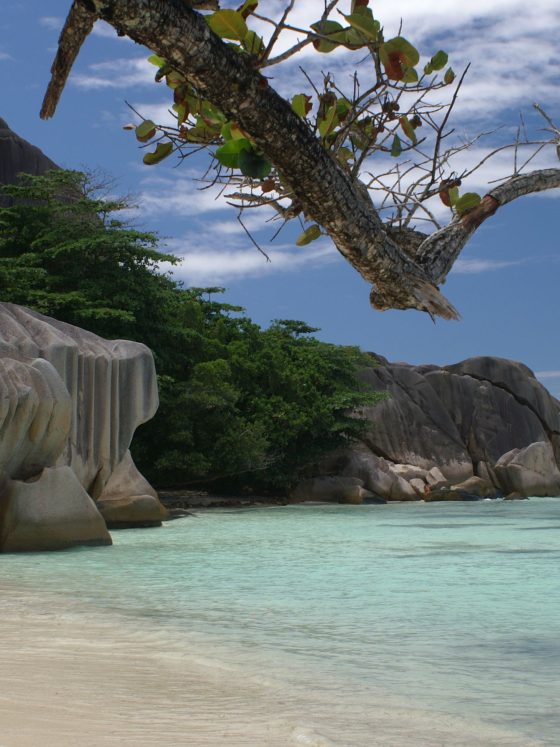 Beaches at Seychelles