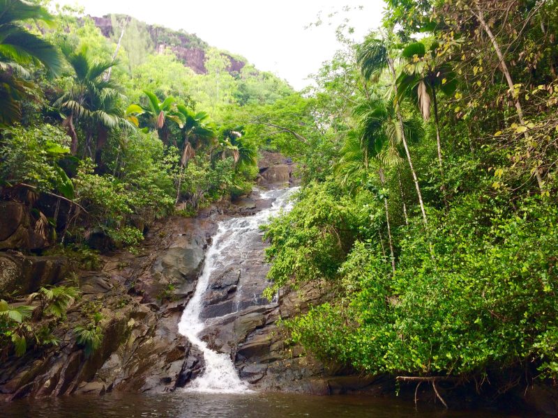 Nature Trails at Seychelles