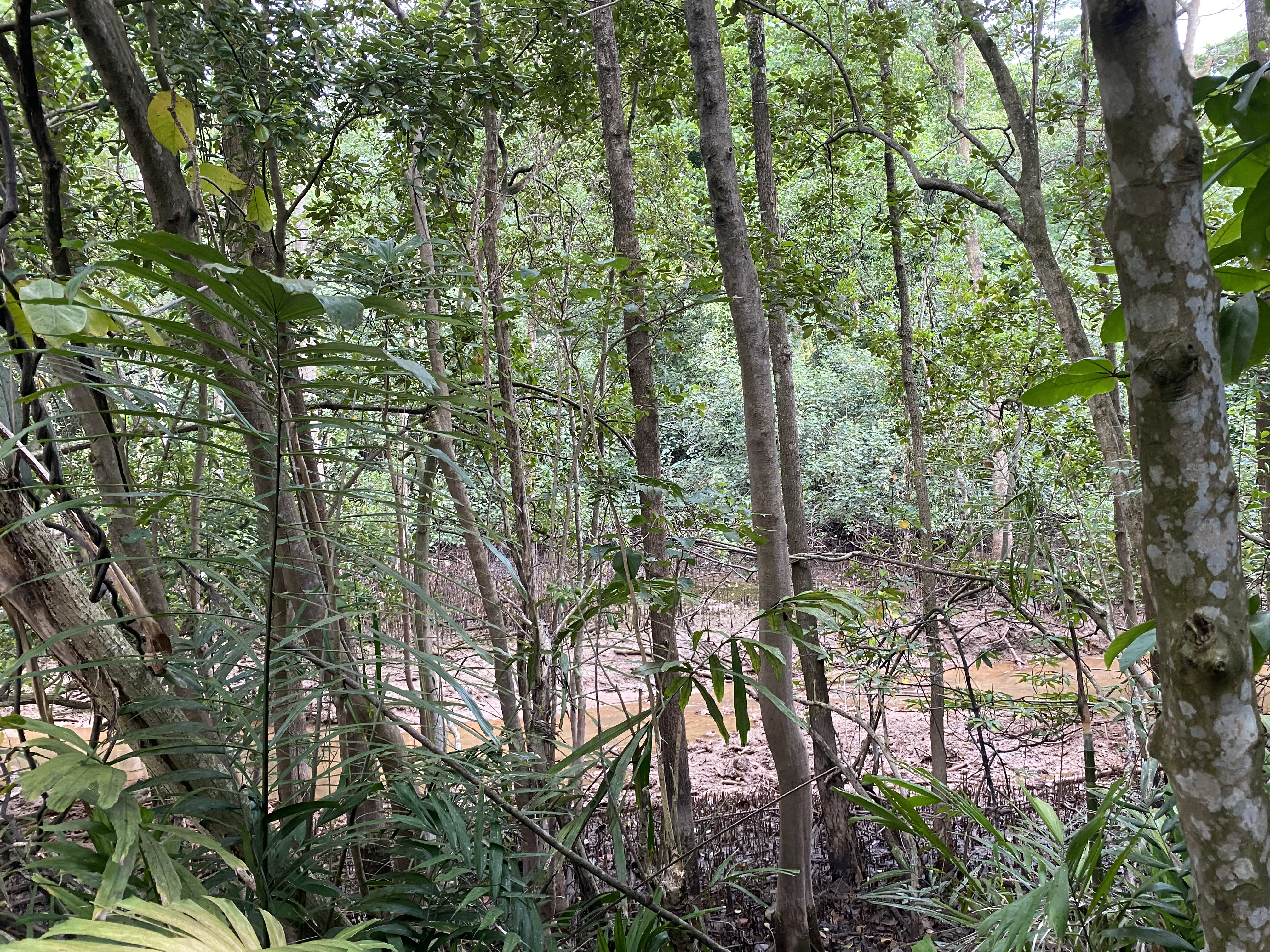 Labrador Nature Reserve 