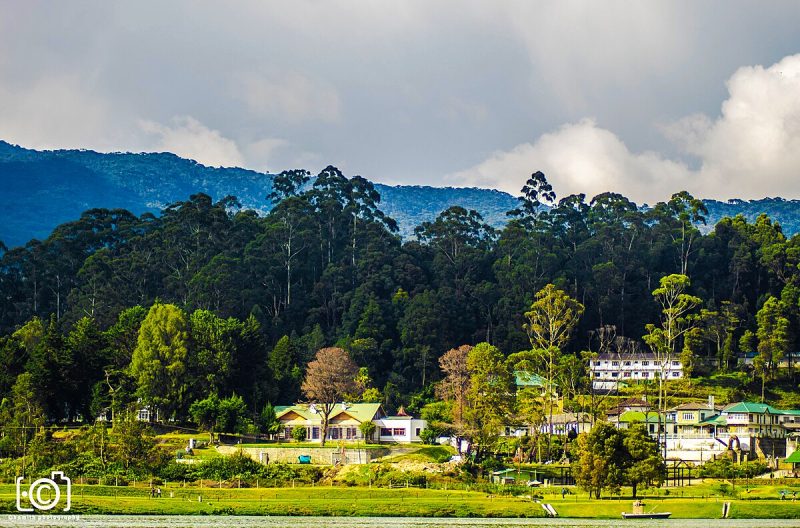 Nuwara Eliya Gregory Lake