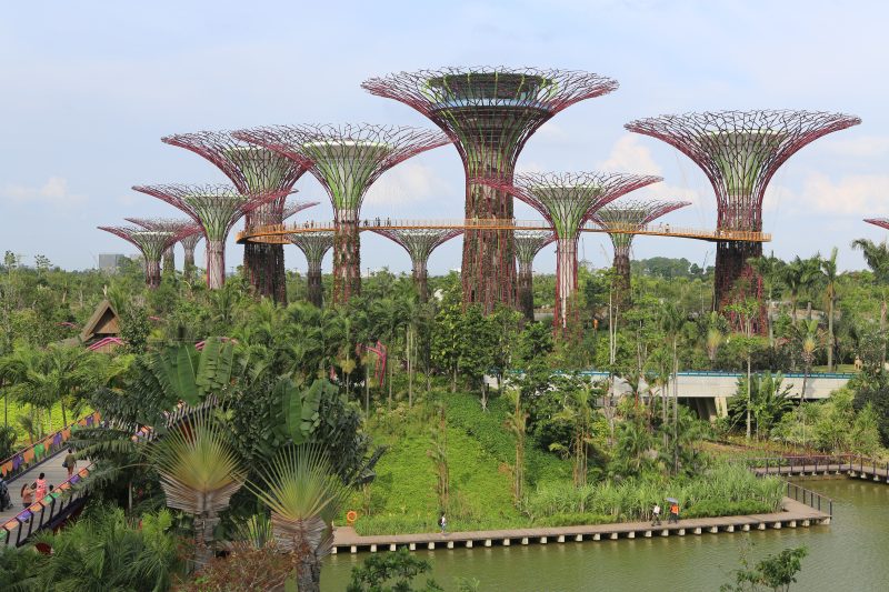 Supertree Grove, Gardens by the Bay, Singapore
