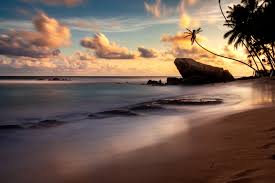 Wijaya beach Unawatuna Sri Lanka