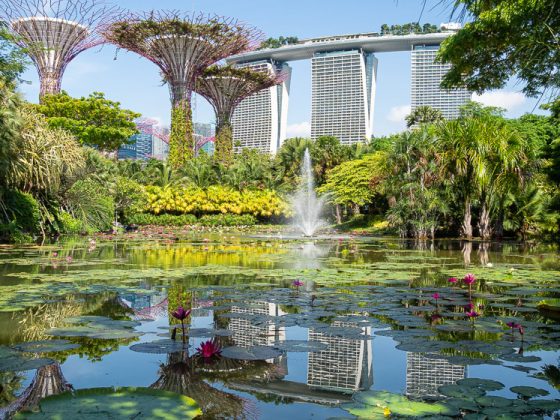 Gardens by the Bay