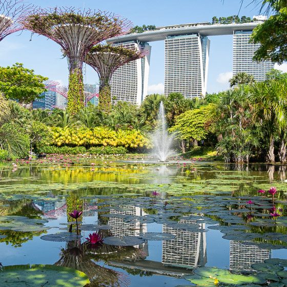 Gardens by the Bay