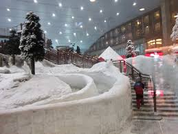 Ski Dubai